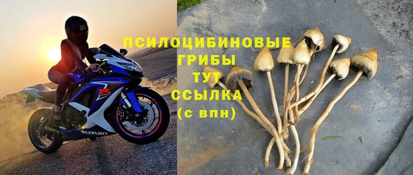 герыч Алексин