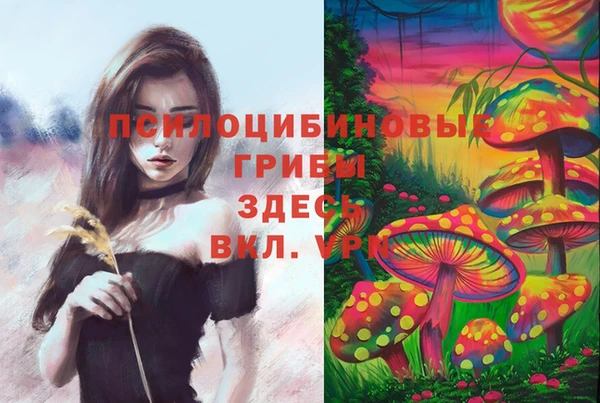 дмт Киренск