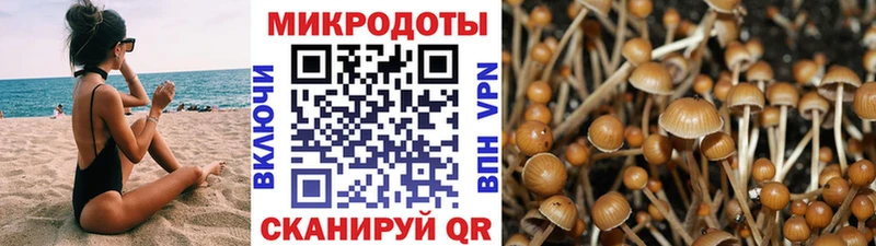 магазин  наркотиков  Нягань  Псилоцибиновые грибы прущие грибы 